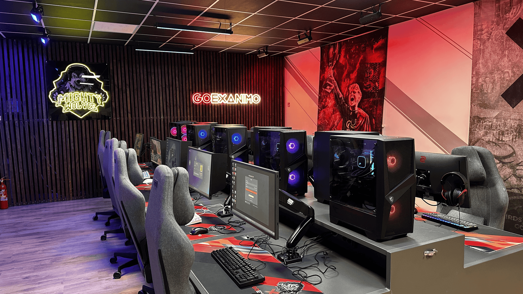 GOEXANIMO Gaming Room
