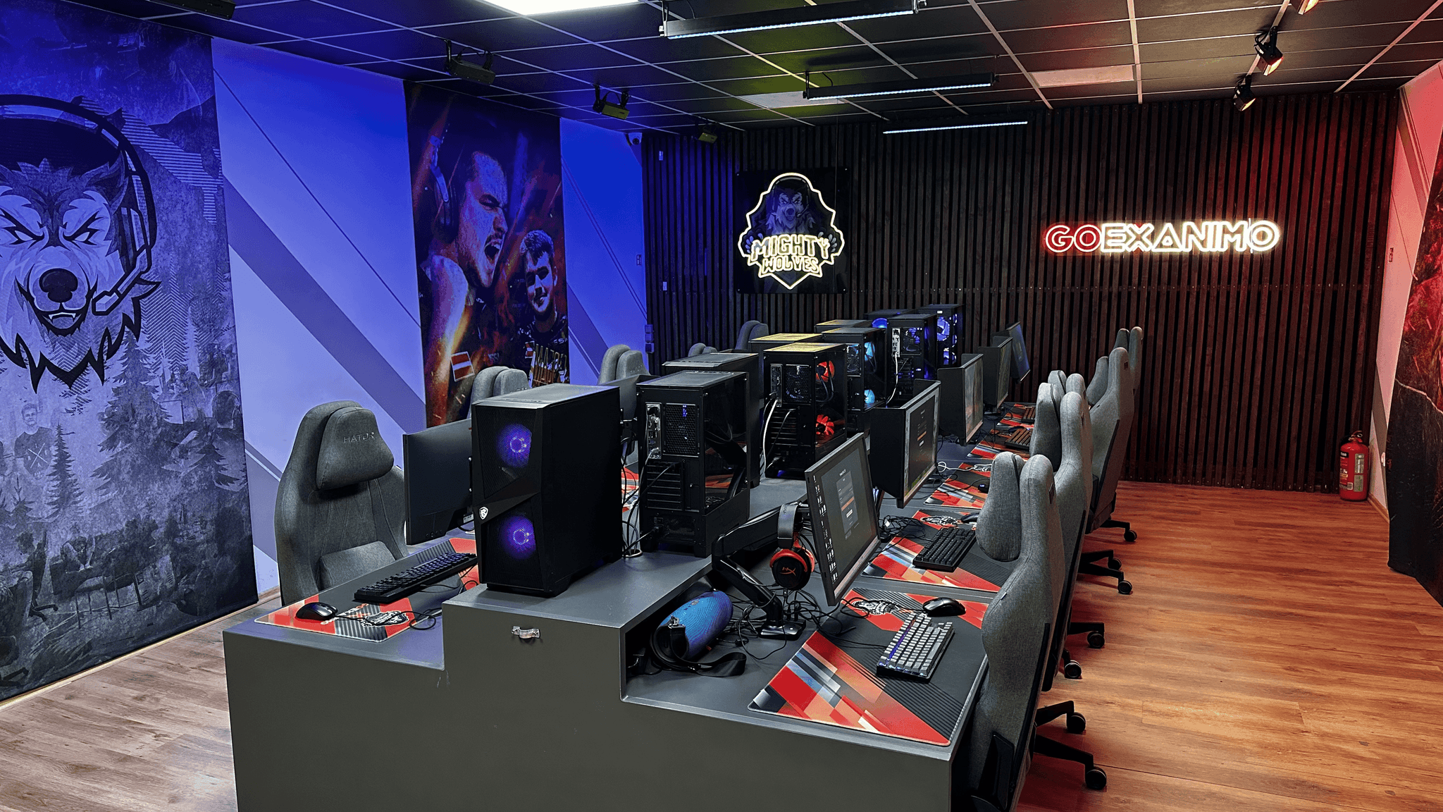 GOEXANIMO Gaming Room