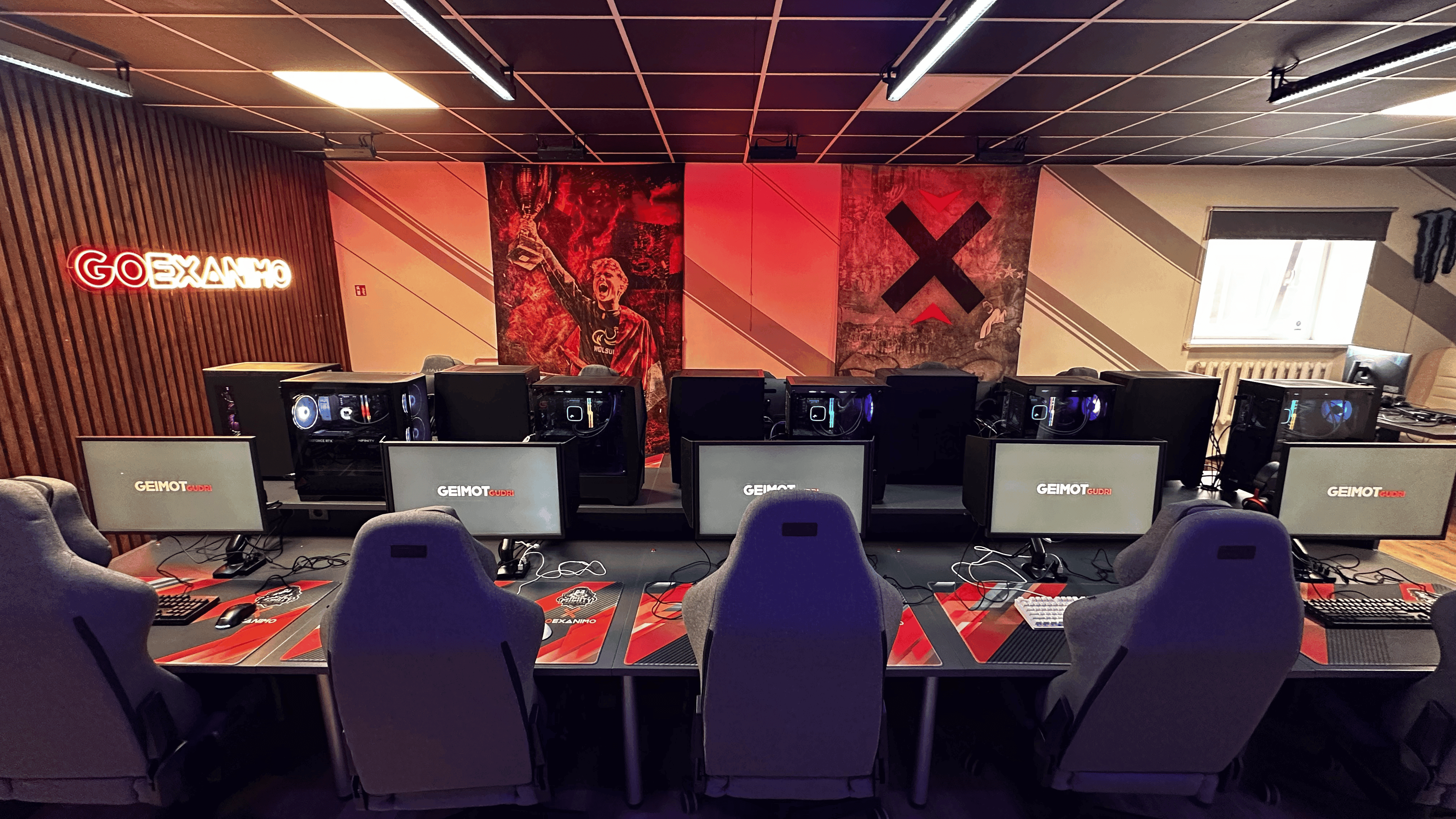 GOEXANIMO Gaming Room
